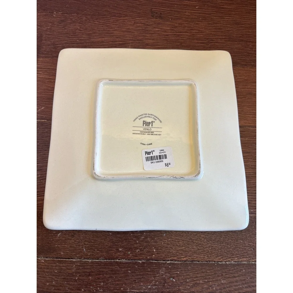 Pier 1 VENLO Hand Painted Earthenware Abstract Square Salad Lunch Plate 8.75